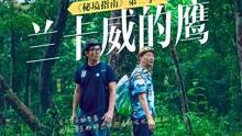 道路交通连连看第二章